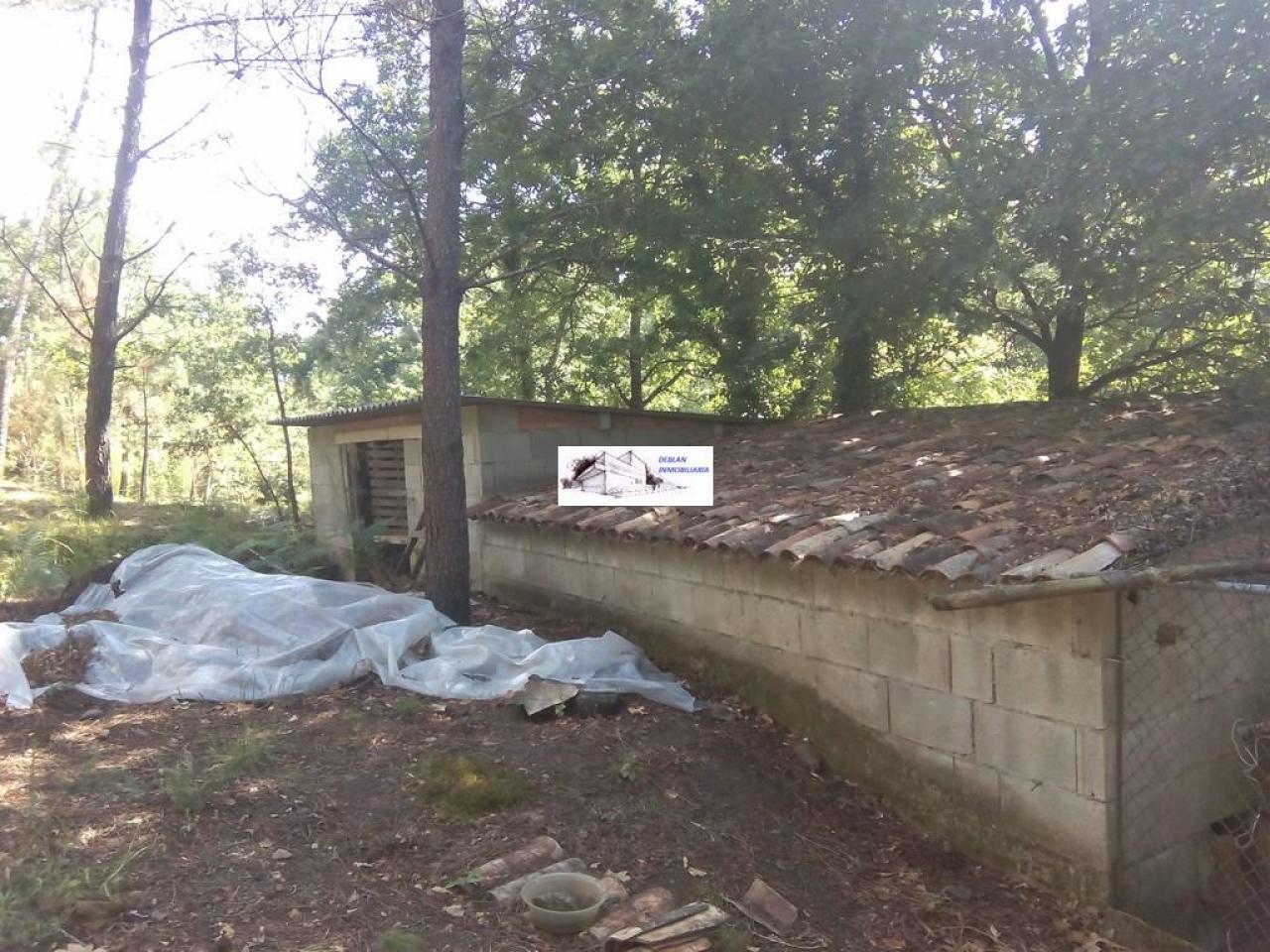 SE VENDE FINCA MOLINO DEL CENTENO DE 17.700 M2 CON MOLINO HABILITADO COMO VIVIENDA