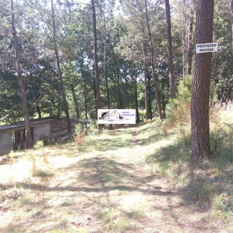 SE VENDE FINCA MOLINO DEL CENTENO DE 17.700 M2 CON MOLINO HABILITADO COMO VIVIENDA