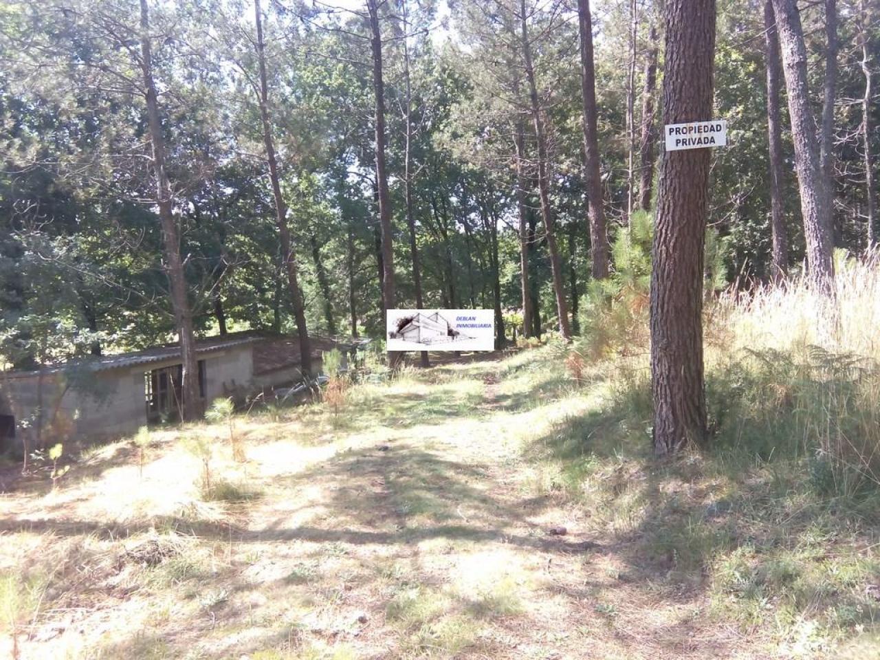 SE VENDE FINCA MOLINO DEL CENTENO DE 17.700 M2 CON MOLINO HABILITADO COMO VIVIENDA