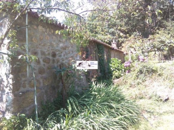 SE VENDE FINCA MOLINO DEL CENTENO DE 17.700 M2 CON MOLINO HABILITADO COMO VIVIENDA