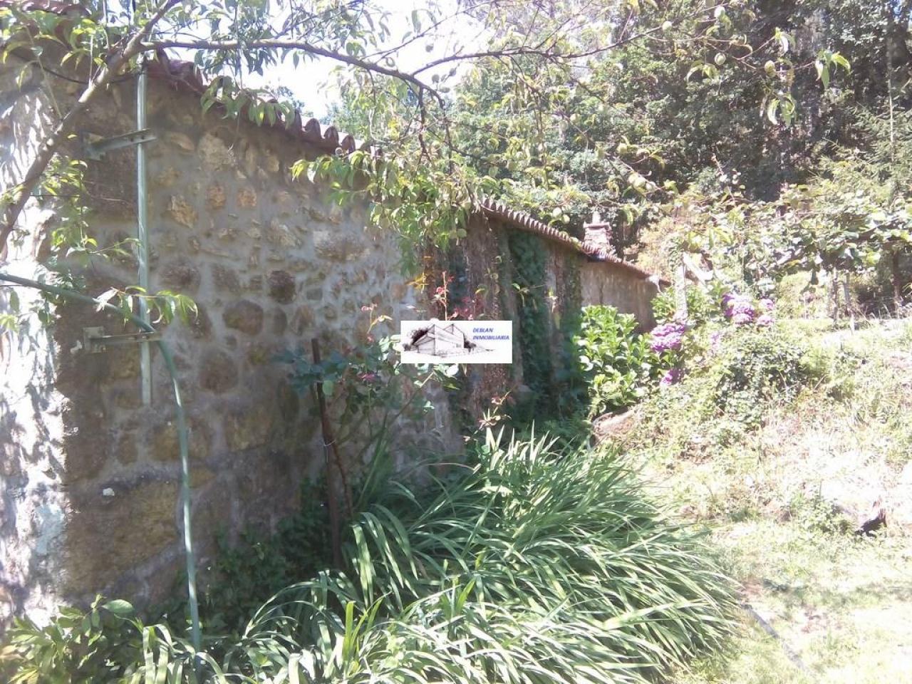 SE VENDE FINCA MOLINO DEL CENTENO DE 17.700 M2 CON MOLINO HABILITADO COMO VIVIENDA