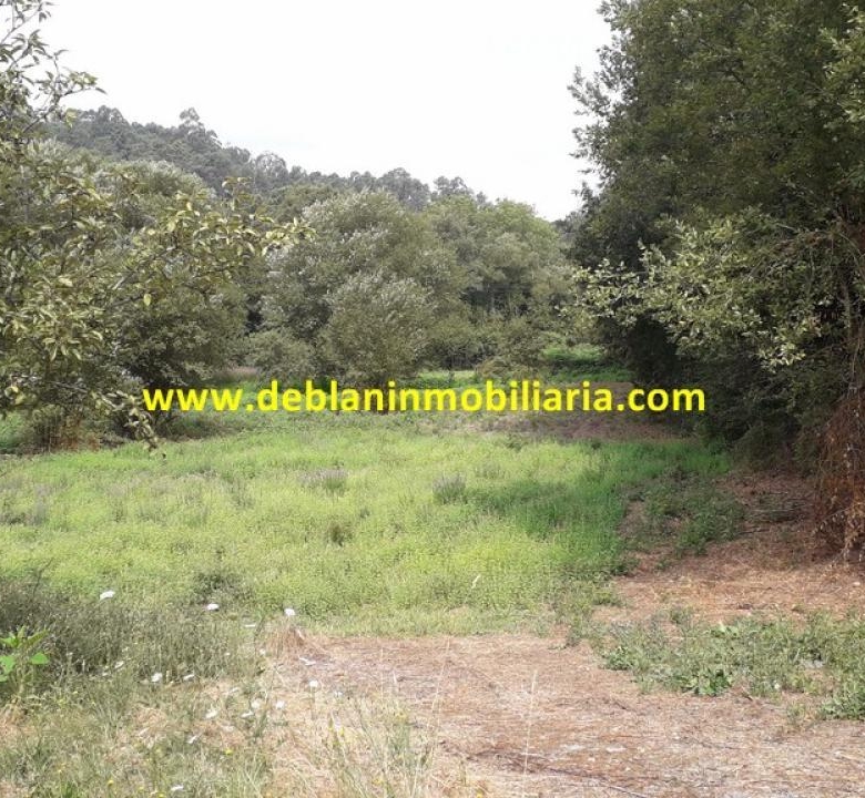 SE VENDE PARCELA RÚSTICA DE 9.000 M2