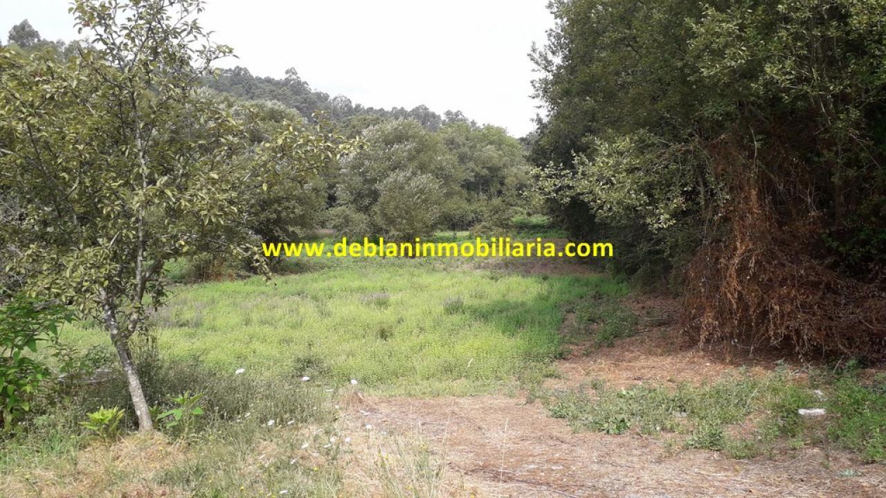 165573809800006359_16529507473 SE VENDE PARCELA RÚSTICA DE 9.000 M2