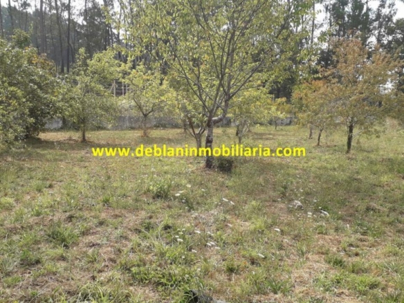 SE VENDE PARCELA RÚSTICA DE 9.000 M2