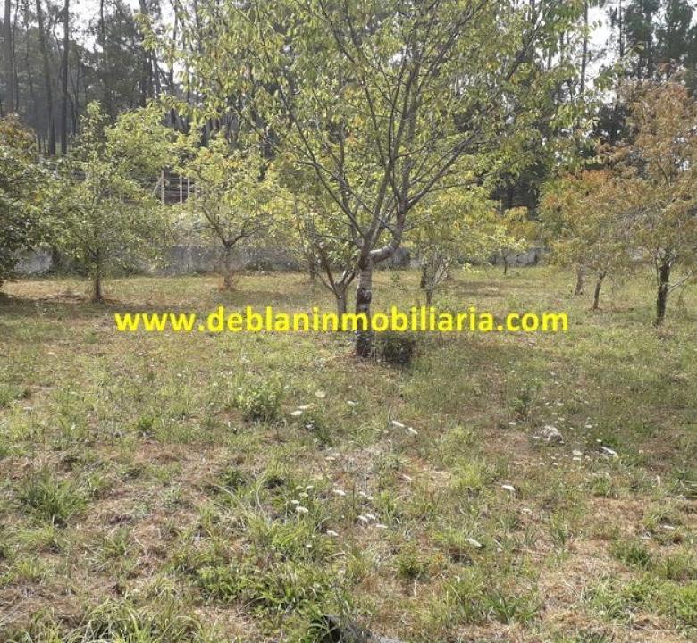 SE VENDE PARCELA RÚSTICA DE 9.000 M2