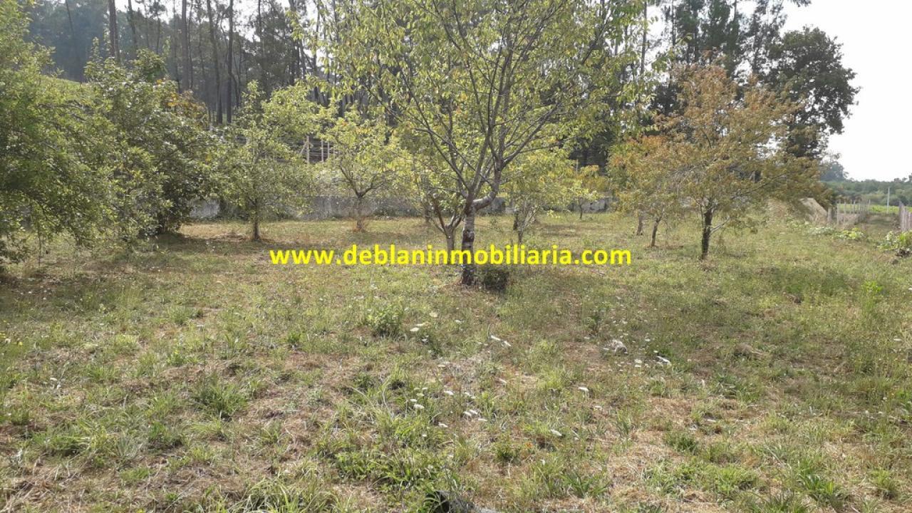 165573809900006359_16529507484 SE VENDE PARCELA RÚSTICA DE 9.000 M2
