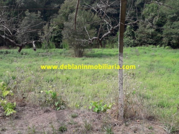 SE VENDE PARCELA RÚSTICA DE 9.000 M2
