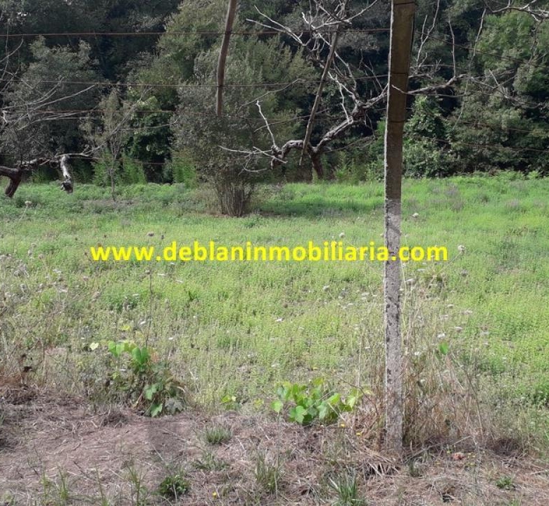 SE VENDE PARCELA RÚSTICA DE 9.000 M2
