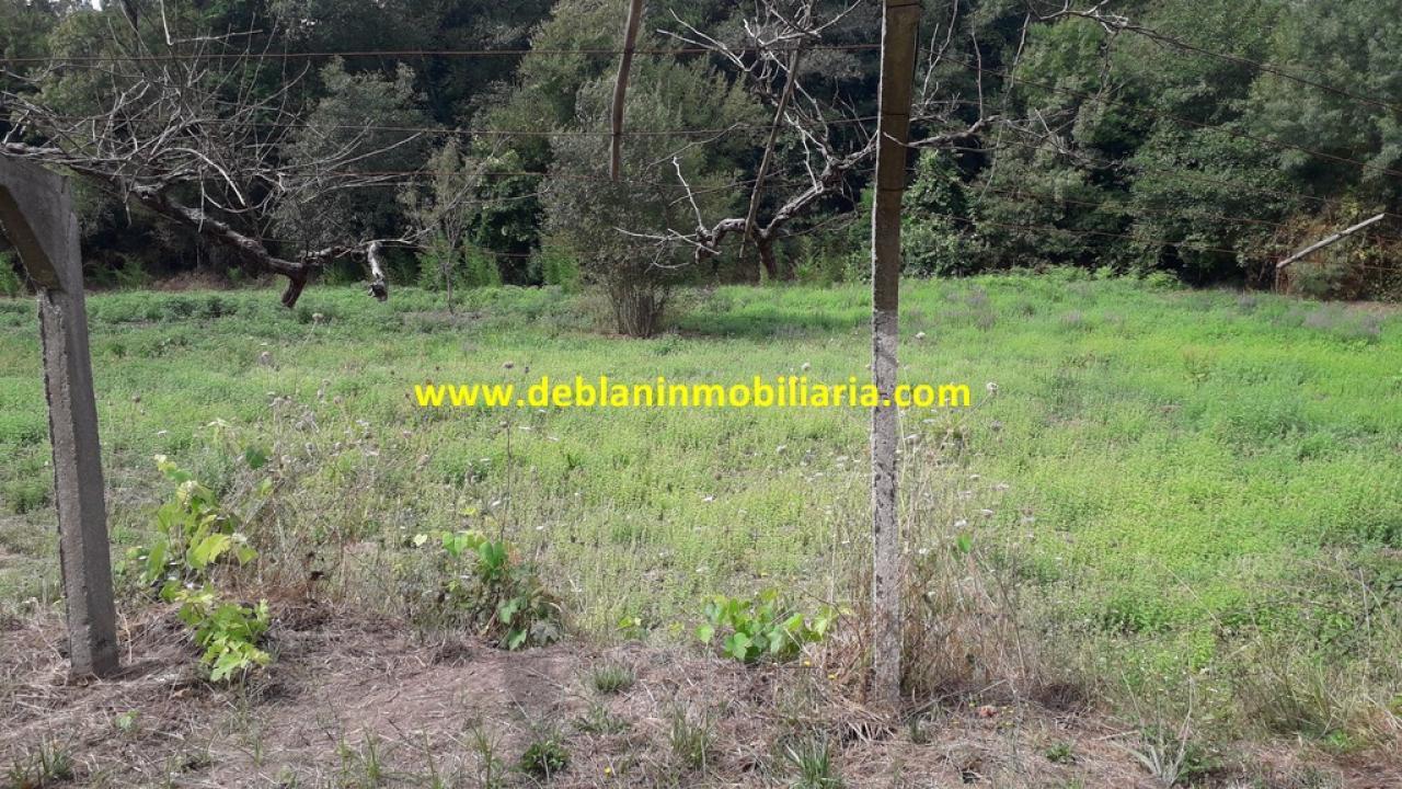165573810000006359_16529507465 SE VENDE PARCELA RÚSTICA DE 9.000 M2