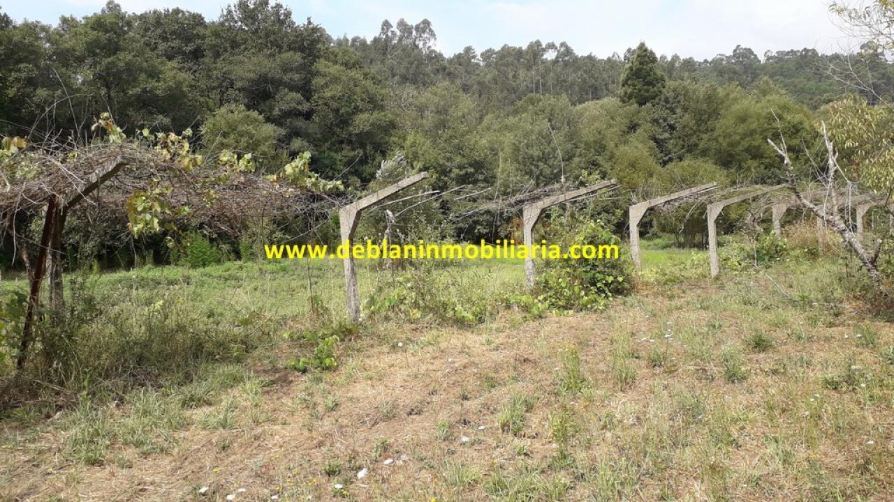 165573810100006359_16529507487 SE VENDE PARCELA RÚSTICA DE 9.000 M2