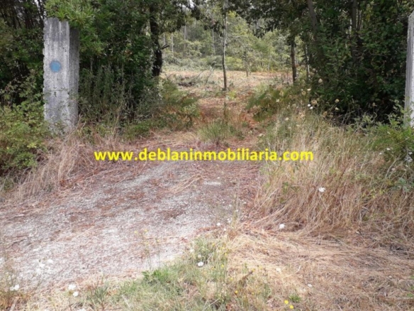SE VENDE PARCELA RÚSTICA DE 9.000 M2