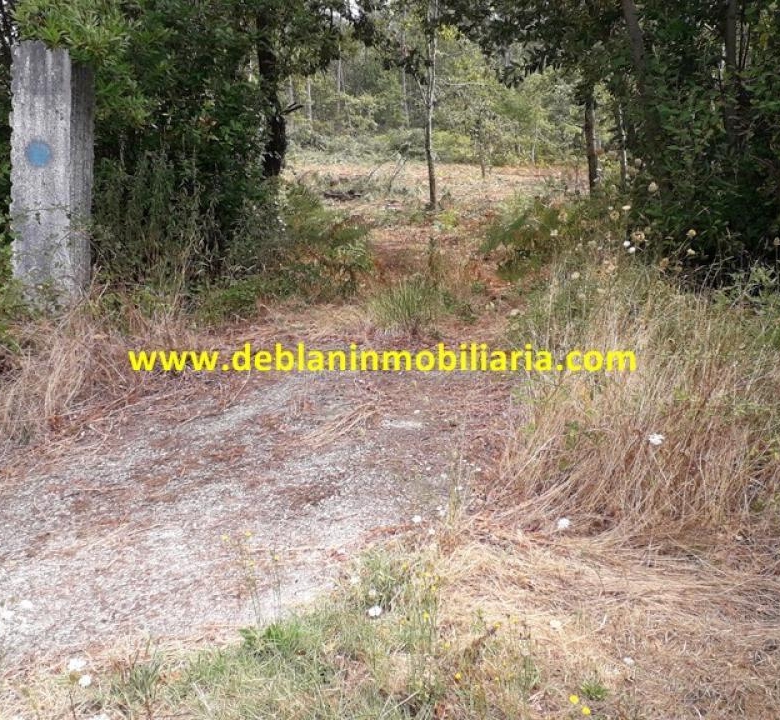 SE VENDE PARCELA RÚSTICA DE 9.000 M2