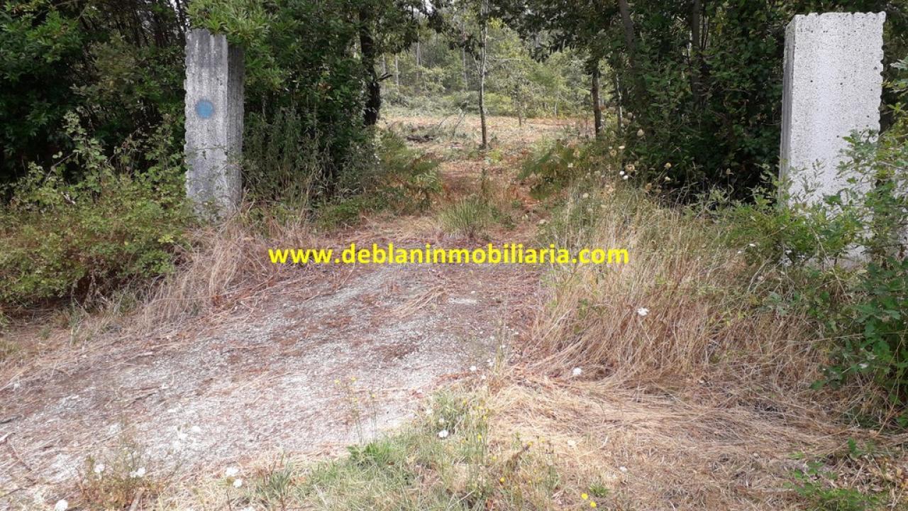 165573810200006359_16529507461 SE VENDE PARCELA RÚSTICA DE 9.000 M2