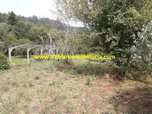 SE VENDE PARCELA RÚSTICA DE 9.000 M2