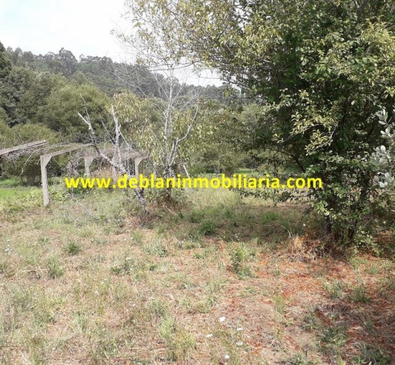 SE VENDE PARCELA RÚSTICA DE 9.000 M2