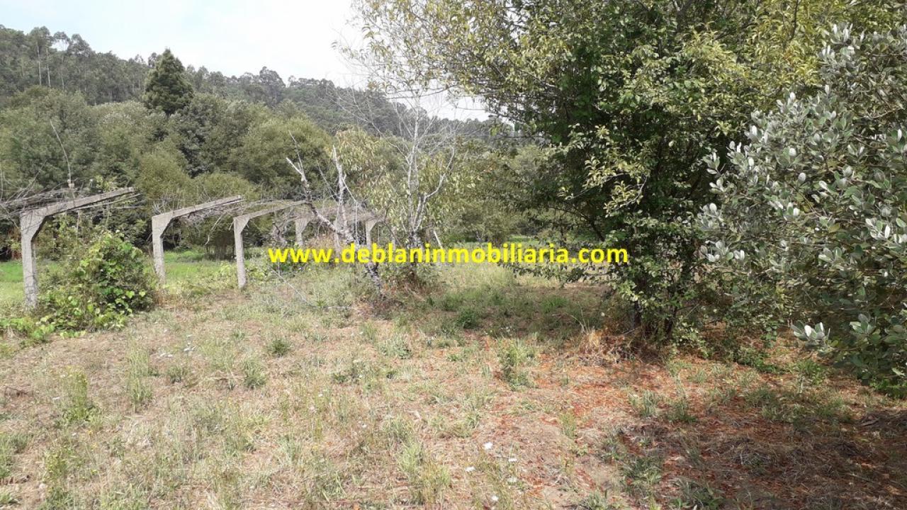 165573810300006359_16529507492 SE VENDE PARCELA RÚSTICA DE 9.000 M2