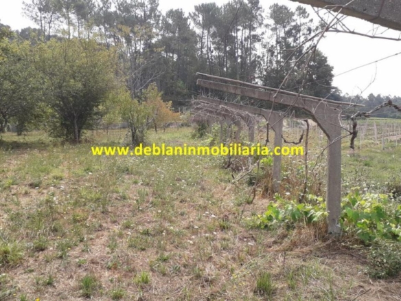 SE VENDE PARCELA RÚSTICA DE 9.000 M2