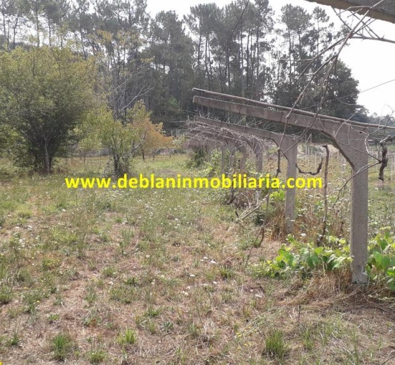SE VENDE PARCELA RÚSTICA DE 9.000 M2