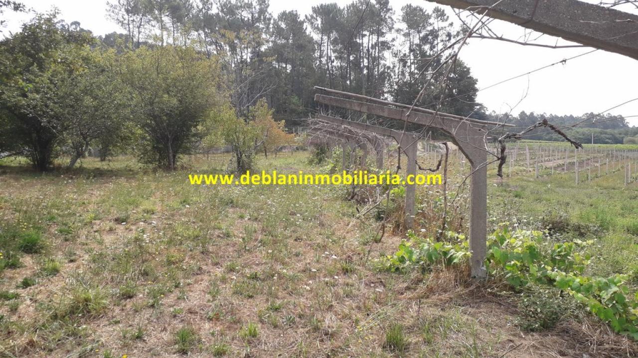 165573810400006359_16529507469 SE VENDE PARCELA RÚSTICA DE 9.000 M2