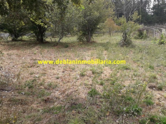 SE VENDE PARCELA RÚSTICA DE 9.000 M2