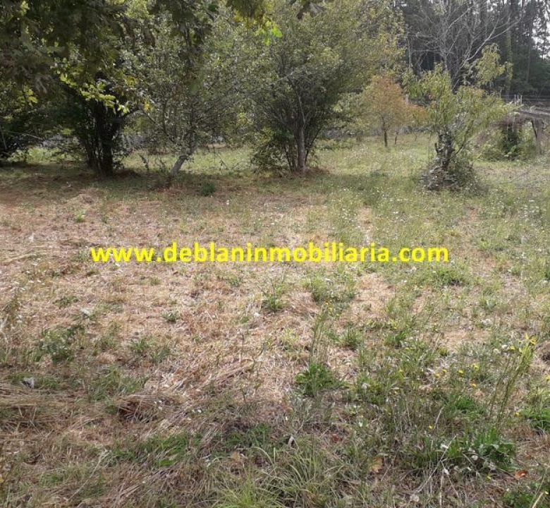 SE VENDE PARCELA RÚSTICA DE 9.000 M2