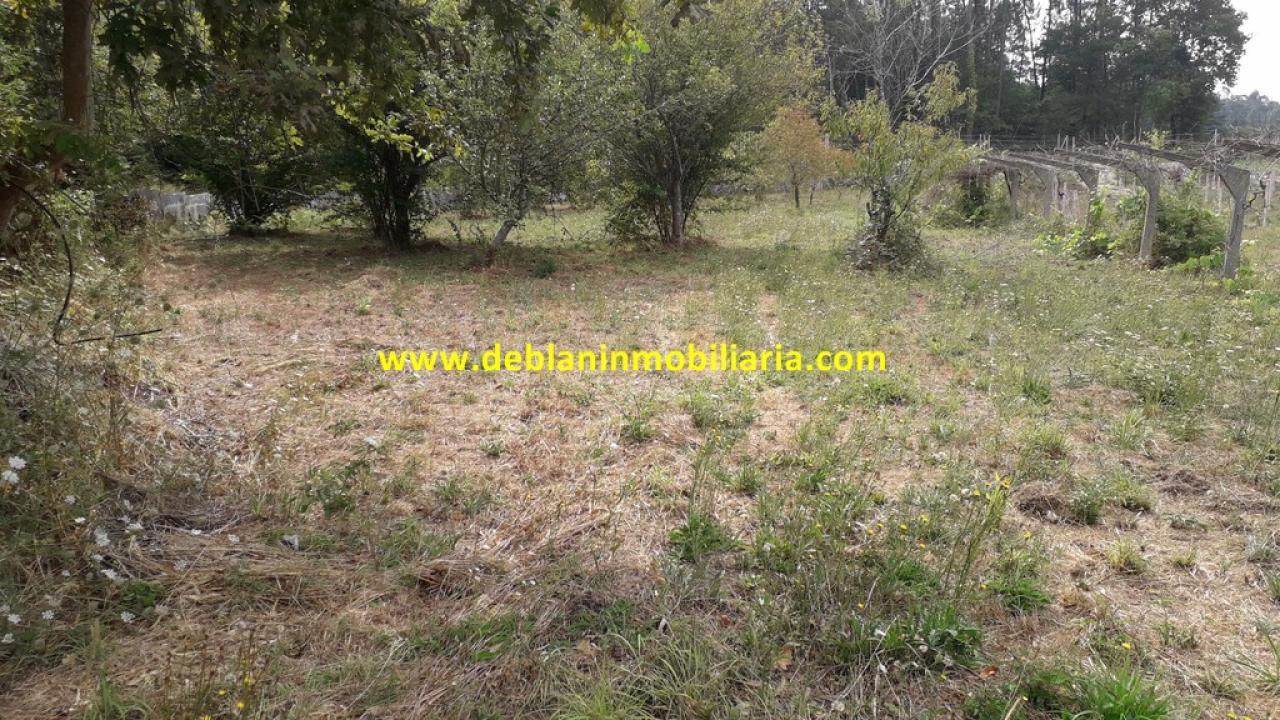 165573810500006359_16529507457 SE VENDE PARCELA RÚSTICA DE 9.000 M2