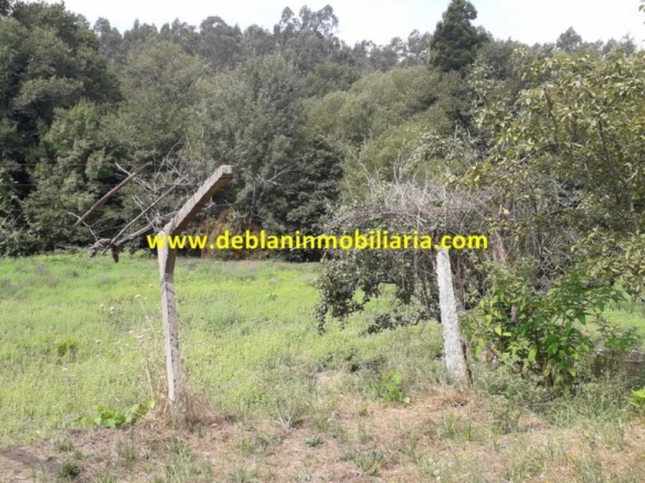 SE VENDE PARCELA RÚSTICA DE 9.000 M2