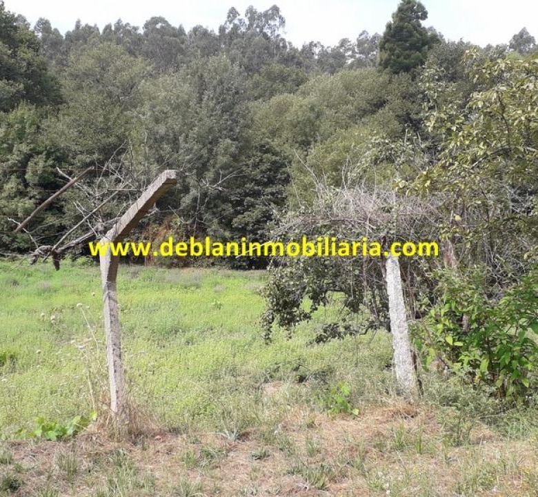 SE VENDE PARCELA RÚSTICA DE 9.000 M2