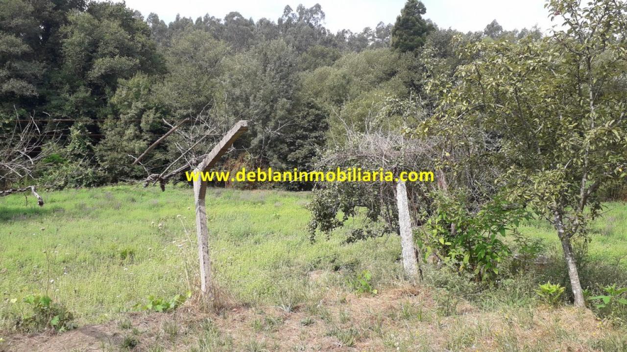 165573810600006359_16529507479 SE VENDE PARCELA RÚSTICA DE 9.000 M2