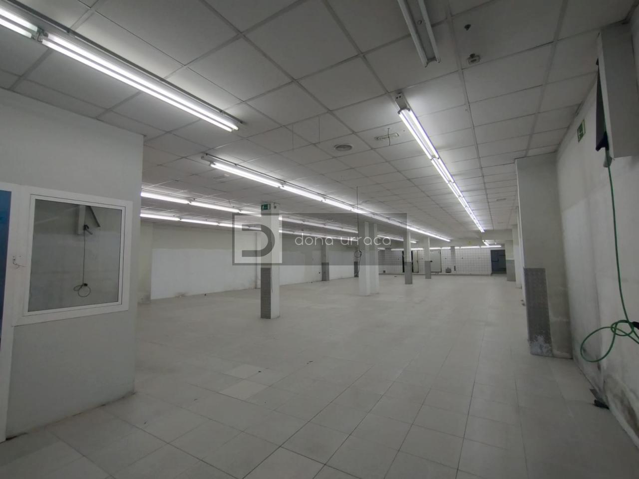 ALQUILER LOCAL COMERCIAL PASEO CORREDERA TUI