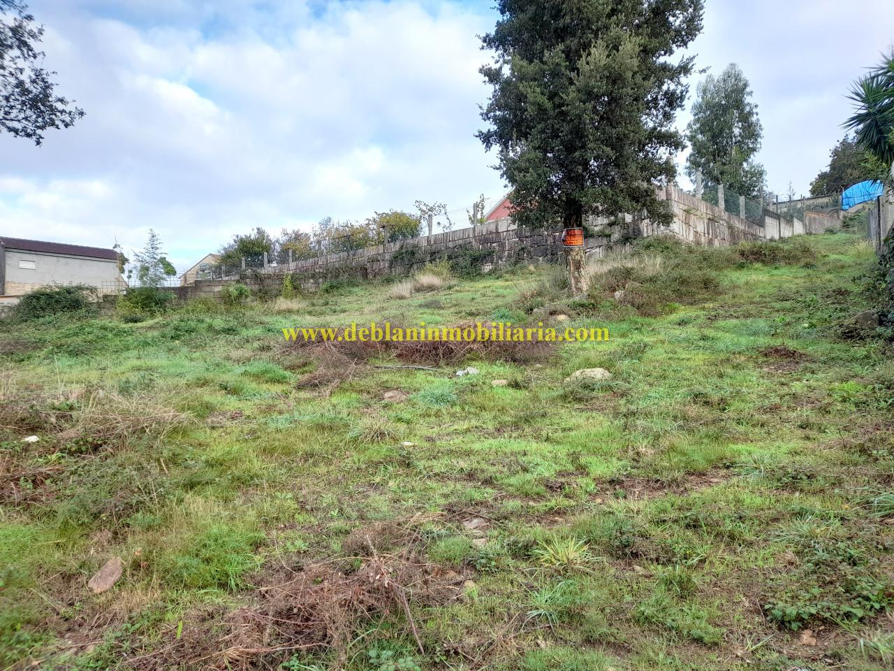 166911800400006956_166911782340 TERRENO EDIFICABLE DE 1.070 M2, EN PARAMOS