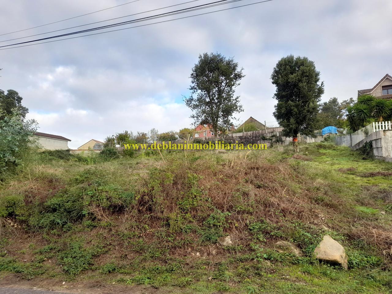 166911800500006956_166911782168 TERRENO EDIFICABLE DE 1.070 M2, EN PARAMOS