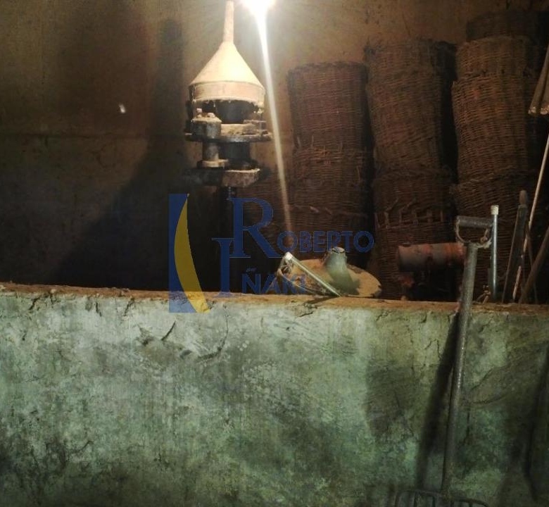 BODEGA