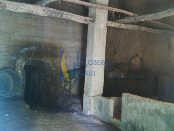 BODEGA