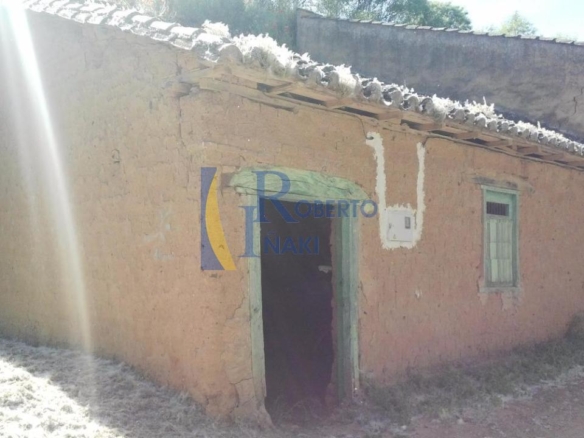 BODEGA
