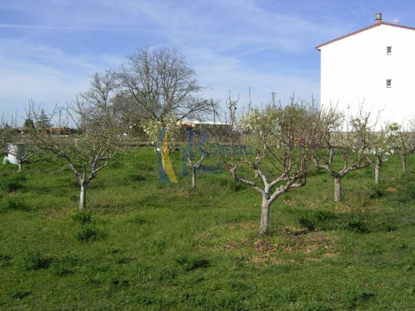 FINCA – HUERTA EN VILLAMAÑAN
