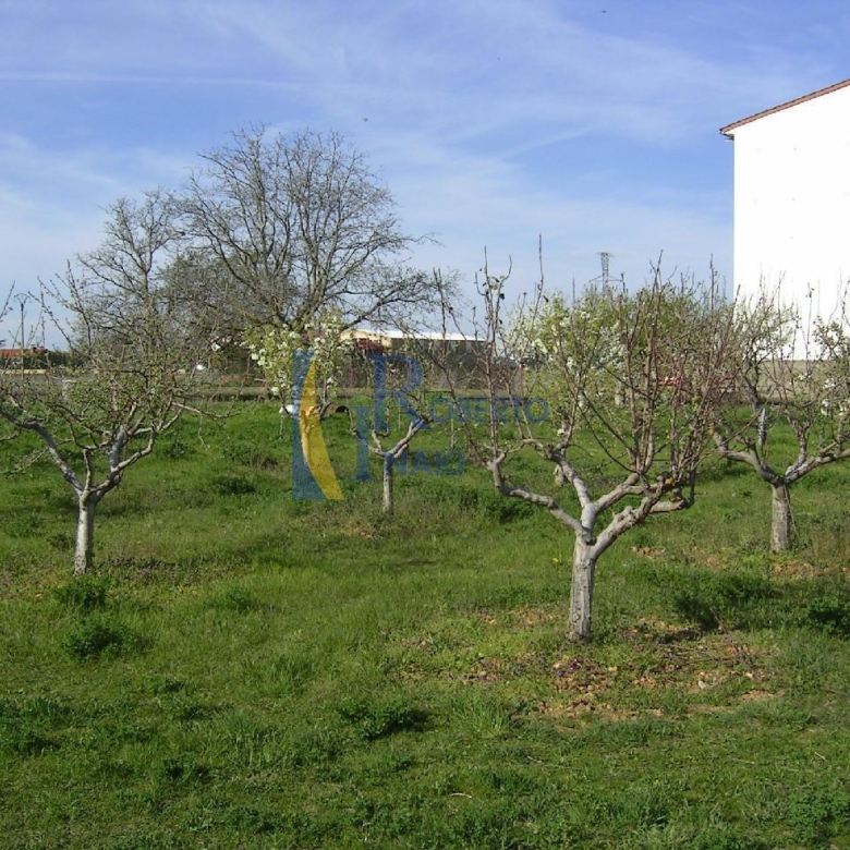 FINCA – HUERTA EN VILLAMAÑAN