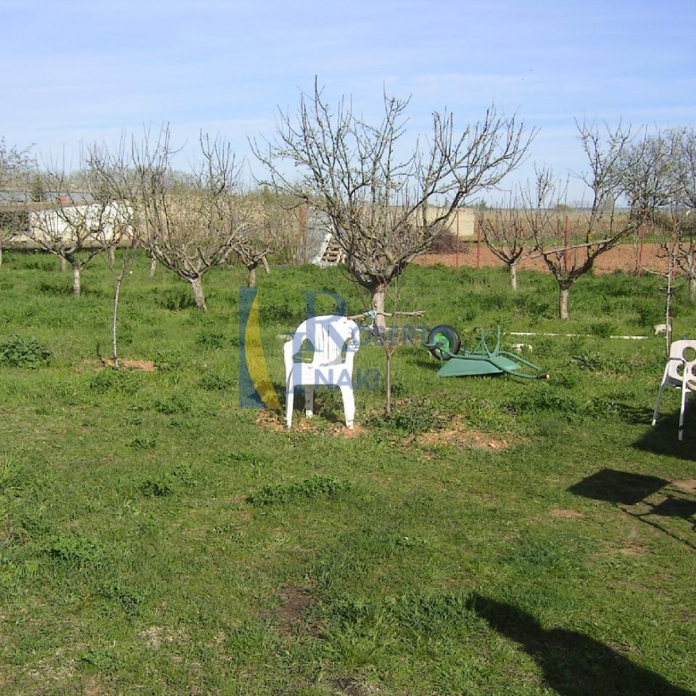 FINCA – HUERTA EN VILLAMAÑAN