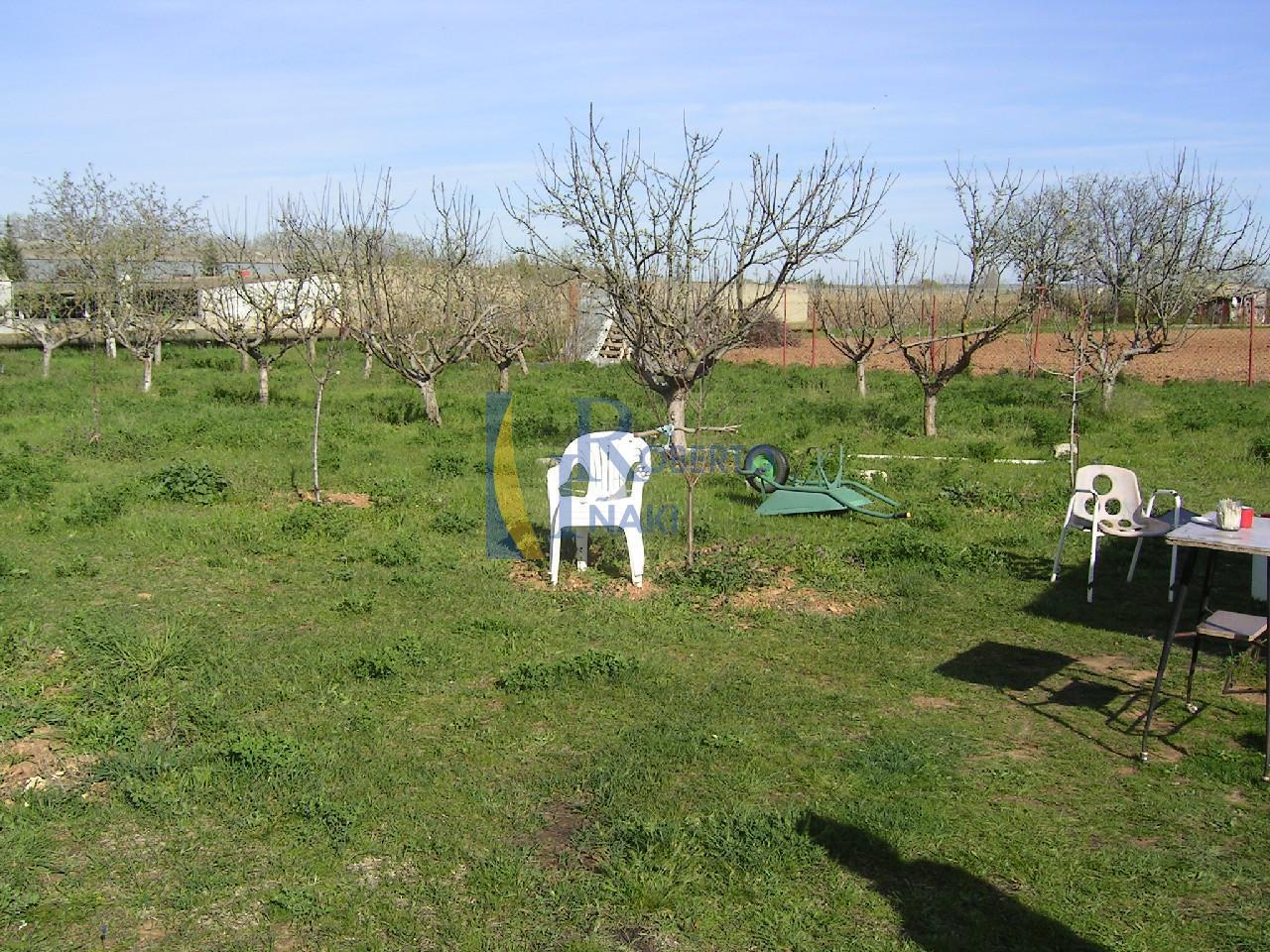 167119137700007042_166914800031 FINCA – HUERTA EN VILLAMAÑAN