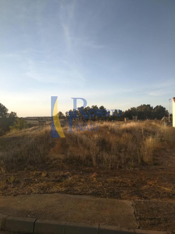 SOLAR URBANO
