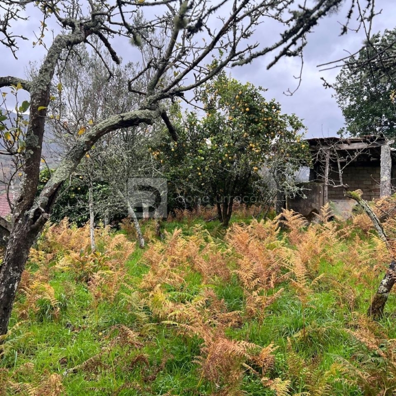 INCREIBLE CASA PARA REFORMAR