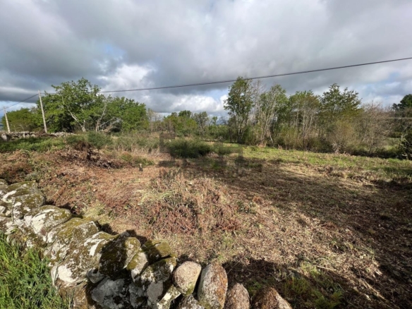 VENTA PARCELA EN PADERNE DE ALLARIZ