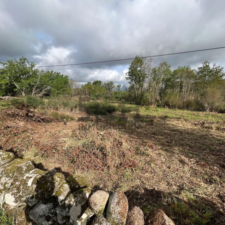 VENTA PARCELA EN PADERNE DE ALLARIZ