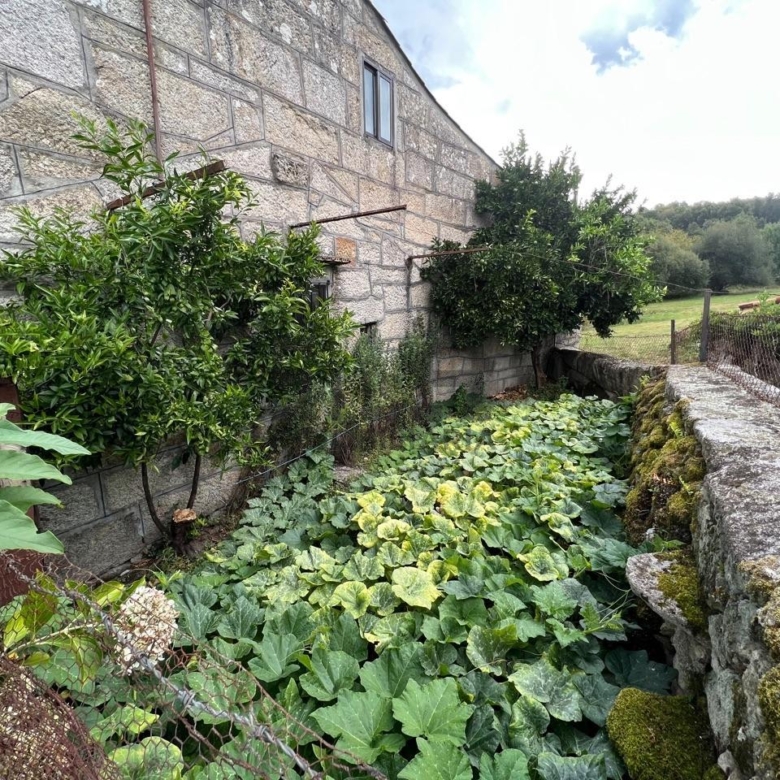 VENTA CASA EN PADERNE DE ALLARIZ