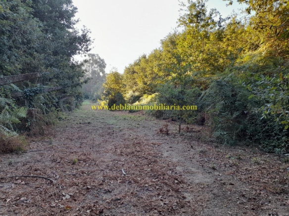 TERRENO RÚSTICO DE 889 M2, A 1 KM, DE TUI