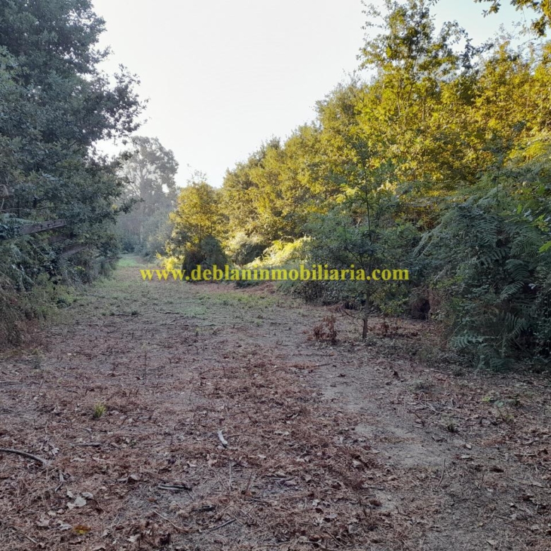 TERRENO RÚSTICO DE 889 M2, A 1 KM, DE TUI