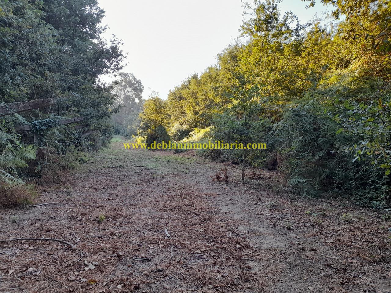 TERRENO RÚSTICO DE 889 M2, A 1 KM, DE TUI