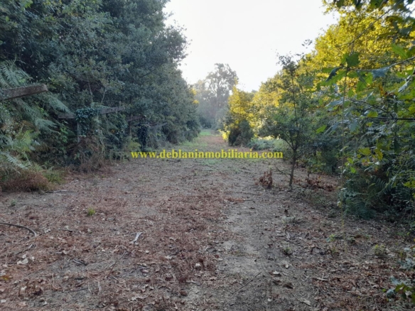 TERRENO RÚSTICO DE 889 M2, A 1 KM, DE TUI