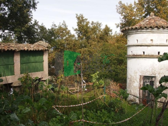 PAZO EN VENTA EN PEREIRO DE AGUIAR