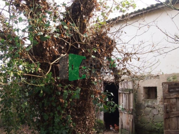 PAZO EN VENTA EN PEREIRO DE AGUIAR